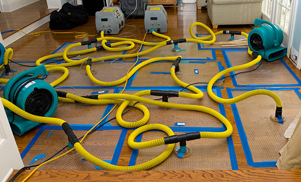 Professional Structural Drying And Dehumidification technician working in North Star, MI