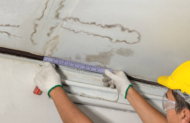 Affordable Water Damage Repair solutions in North Star, MI